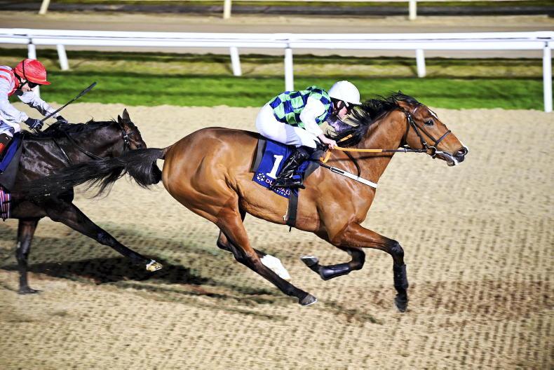 Classic clues on offer as eight declared for Al Shira'aa Racing Blue Wind Stakes - Vimarsana News