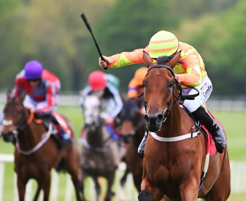 GOWRAN PARK: Fine start for Gesture in Vintage Tipple - Vimarsana News
