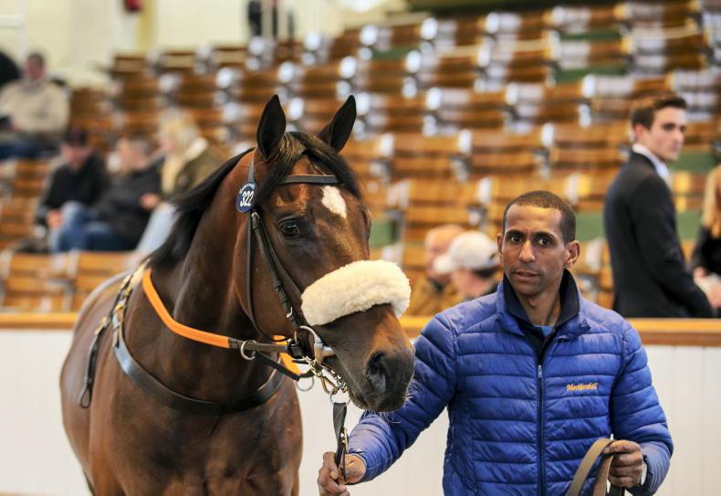 SALES: Hughes and O'Callaghan snap up speedy two-year-olds - Vimarsana News