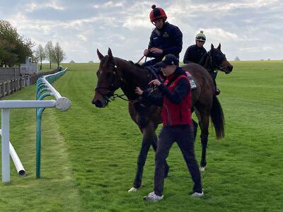 The Astrologist primed for British bow at York - Vimarsana News
