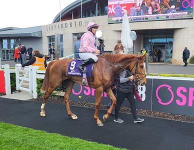 O'Brien and Moore have Savethelastdance to look forward to at Chester - Vimarsana News