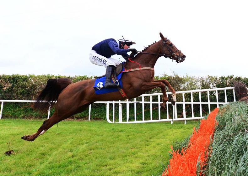 ITBA NH FILLIES BONUS: The perfect start sets Elle on the trail to Ballybrit - Vimarsana News
