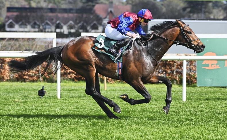 FRENCH PREVIEW: O'Brien challenge may be foiled by Flag - Vimarsana News