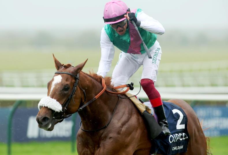 BREEDING INSIGHTS: Whitsbury's Suelita is a classic 12 May 2023 Free - Vimarsana News