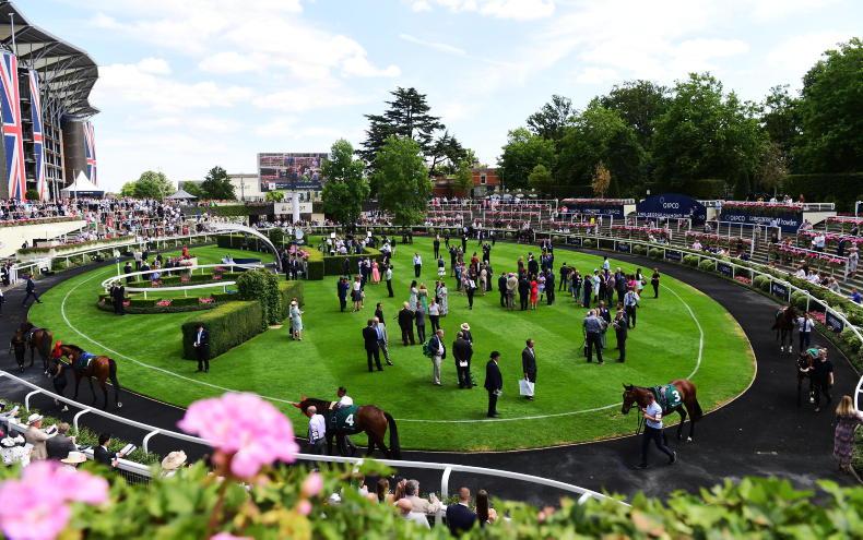 DONN McCLEAN BRITISH PREVIEW: Victoria Cup choice has lots in his favour - Vimarsana News