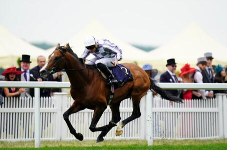 O'Brien bids to sweep Yorkshire Cup duck aside with Broome - Vimarsana News
