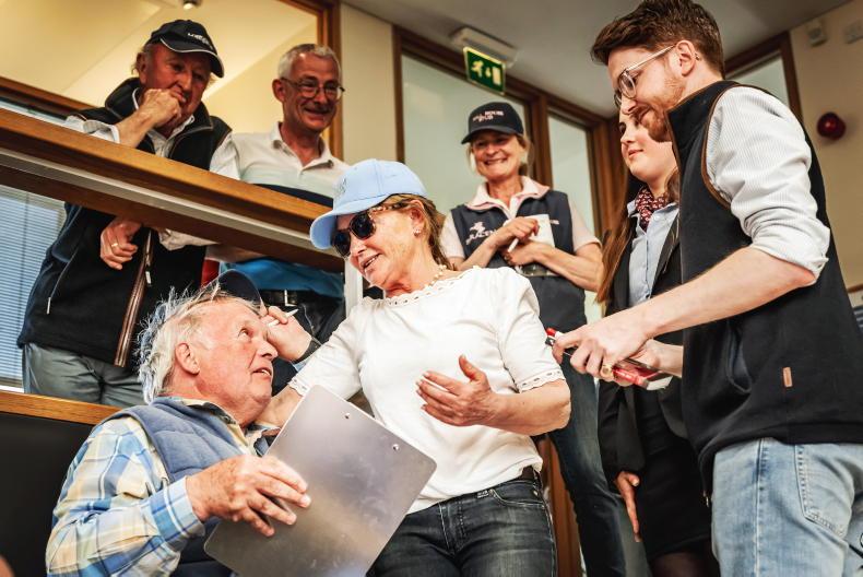 SALES: Emotional scenes as Goldford Stud sells £210,000 top lot - Vimarsana News