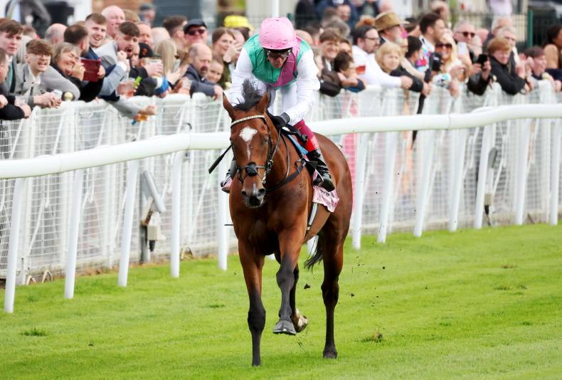 Derby betting has punters scratching their heads - Vimarsana News