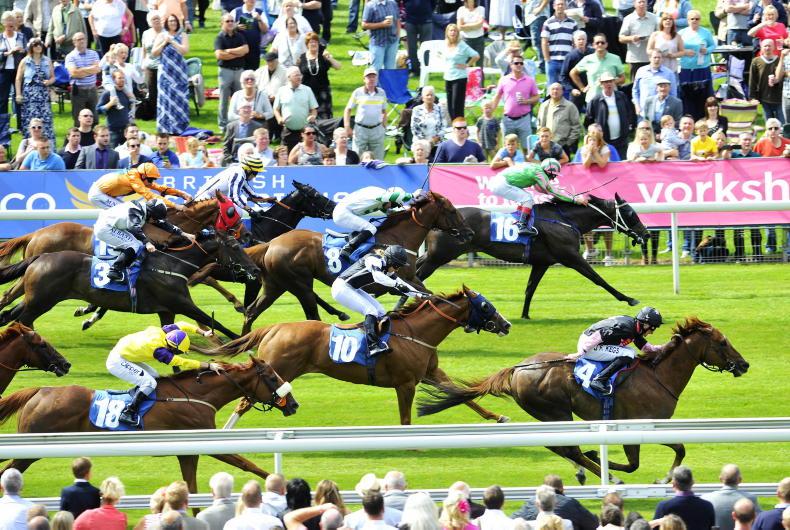 RORY DELARGY PREVIEW: Smart sprint handicapper can capitalise on ideal scenario - Vimarsana News