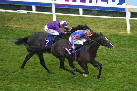 Michael Tabor: Irish Derby likely target for Auguste Rodin - Vimarsana News
