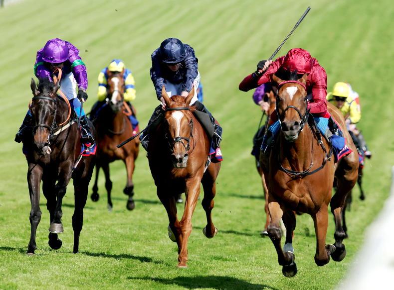 MARK HOWARD: Fillies to the fore at Epsom - Vimarsana News