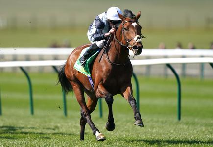 Passenger set for a break after Derby disappointment - Vimarsana News