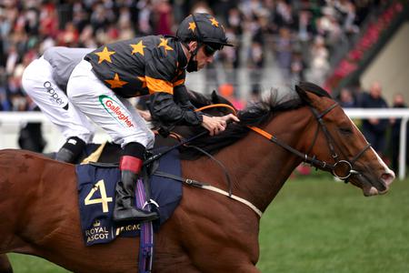 Rohaan ready to roll again at Royal Ascot - Vimarsana News