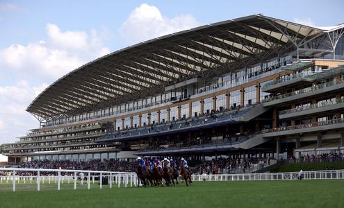 Stickels "happy" with Ascot conditions ahead of uncertain forecast - Vimarsana News