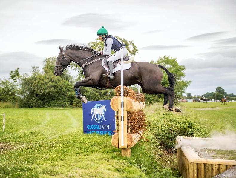 CAVAN SALES PREVIEW: Lively trade set for quality lots - Vimarsana News