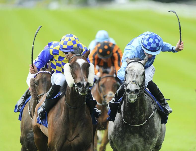 NEWS: Big increase in penalties for whip and interference rule breaches - Vimarsana News