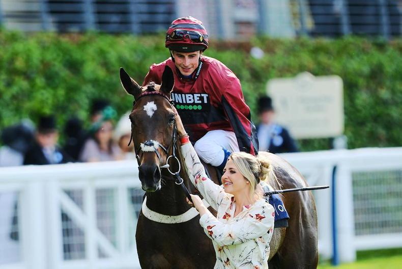 WATCH: Ahorsewithnoname bows out in style - Vimarsana News