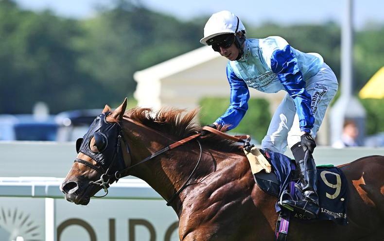 WATCH: Jimi Hendrix streaks to success in Royal Hunt Cup - Vimarsana News