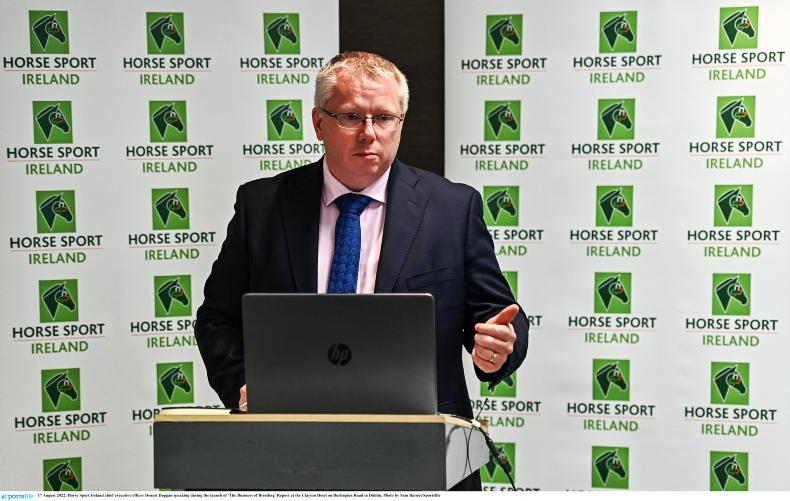 NEWS: 'No disagreements' between HSI and Irish Horse Board - Vimarsana News