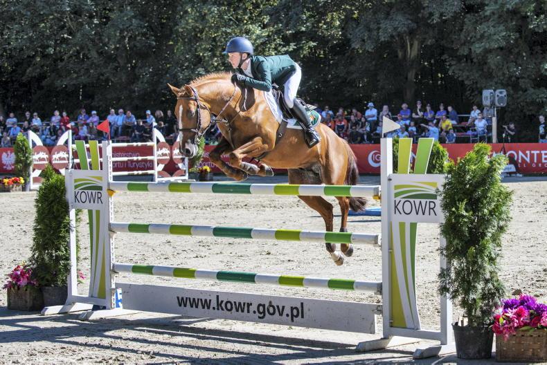 NEWS: Irish pony teams named for European Championships - Vimarsana News