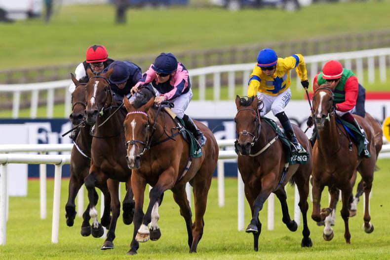 NEWS: Frustrated connections of Pretty Polly runner-up lodge interference appeal - Vimarsana News