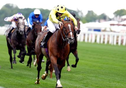 Triple Time looks set to go for Marois glory next month - Vimarsana News