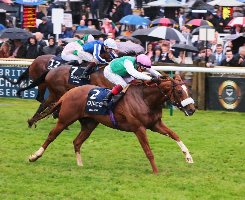 Oisin Murphy to ride Chaldean in France - Vimarsana News