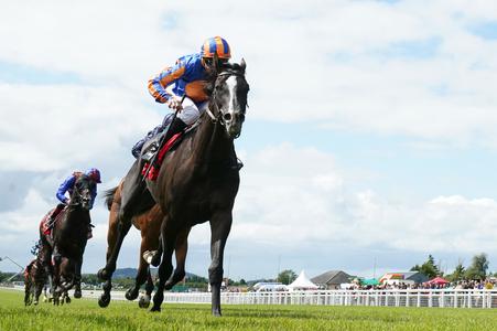 York could feature on Auguste Rodin agenda after Ascot - Vimarsana News
