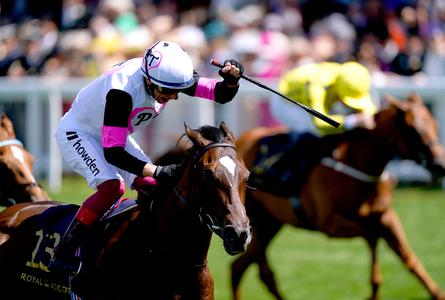 Donnacha O'Brien eyeing Phoenix challenge for Porta Fortuna - Vimarsana News