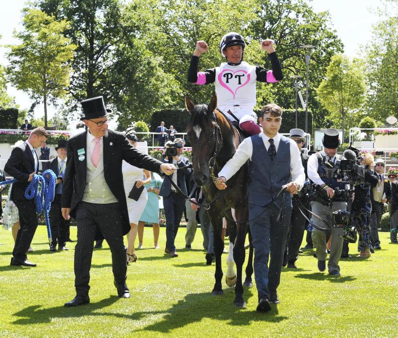 Phoenix Stakes possible for Porta Fortuna and Bucanero Forte - Vimarsana News