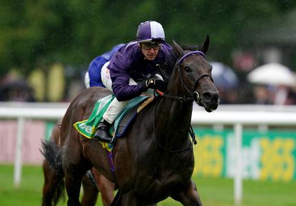 Ffrench Davis planning Group 1 goal for Persian Dreamer - Vimarsana News