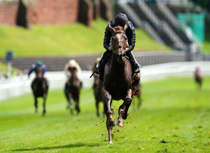 Savethelastdance on course for second Classic chance - Vimarsana News