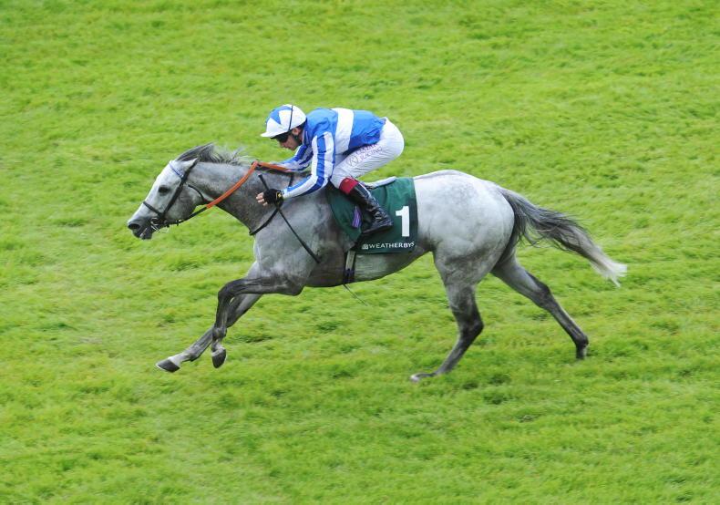 WATCH: Power perfect again at the Curragh - Vimarsana News