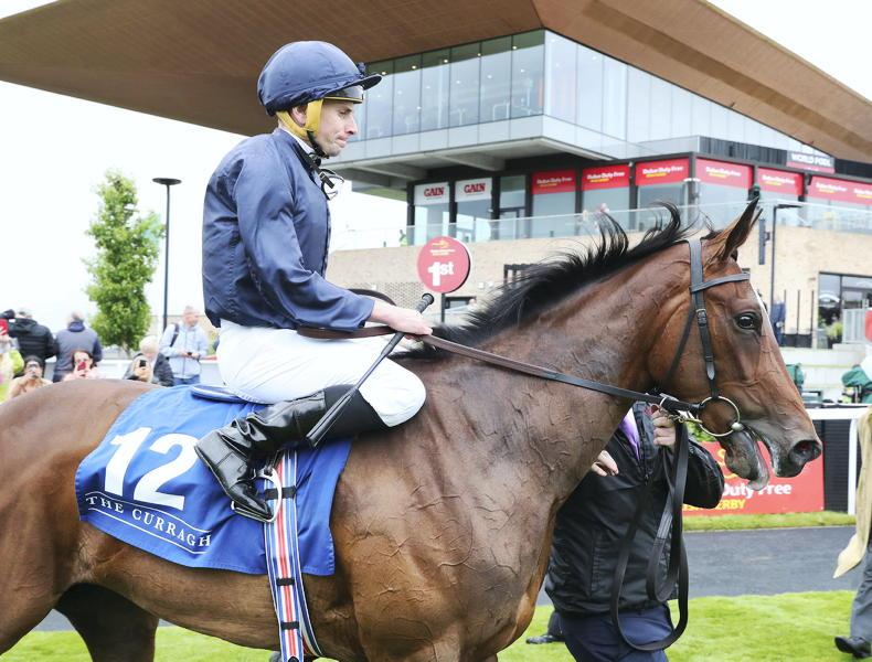 Guineas favourite runs at Leopardstown - Vimarsana News