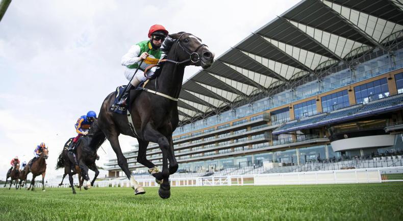 THE WEEK THAT WAS: Driving for King George repeat? - Vimarsana News