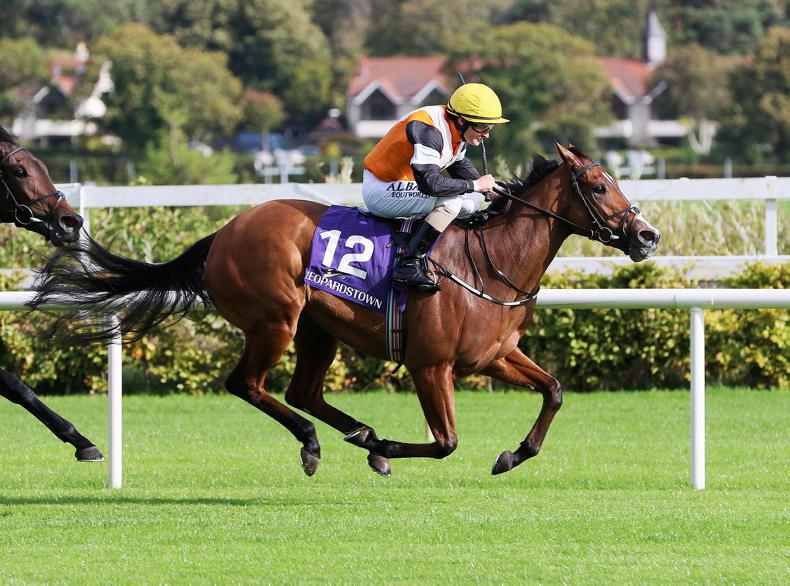 FRENCH PREVIEW: Harrington's Heaven chases Group 1 success 30 July 2023 Free - Vimarsana News