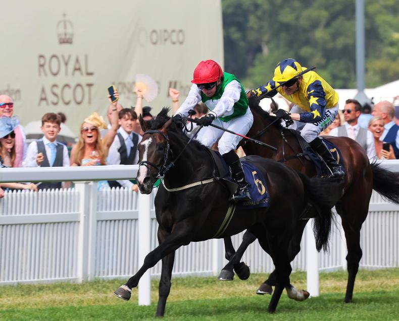 RACING CENTRAL: McDonald relishing stellar King George clash on Pyledriver - Vimarsana News