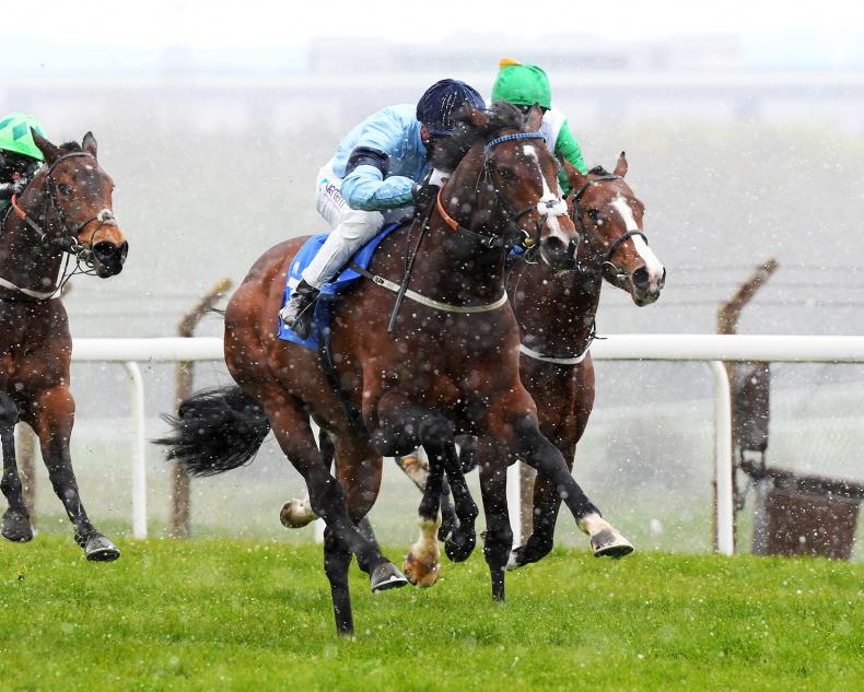 FRENCH PREVIEW: English raiders set to dominate - Vimarsana News