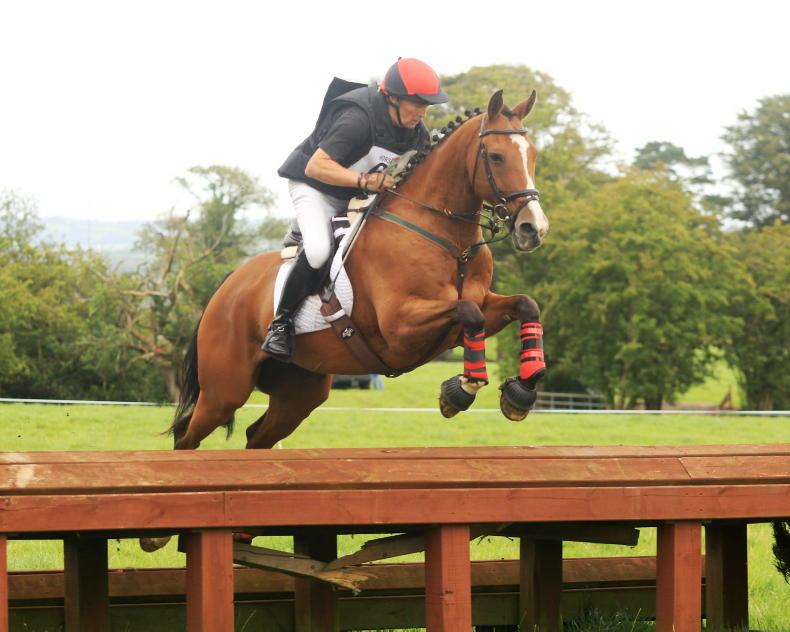 EVENTING: Zoe whips up a double 11 August 2023 Free - The Irish Field