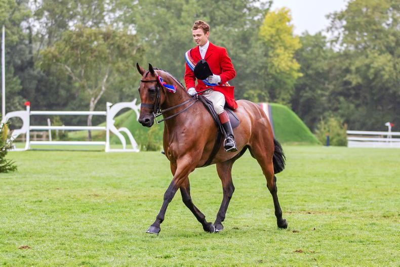 INTERNATIONAL: Kilcarna Brilliant (ISH) lands Royal supreme title - Vimarsana News