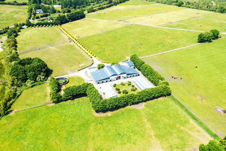 PROPERTY: Newbridge stud farm for auction - Vimarsana News