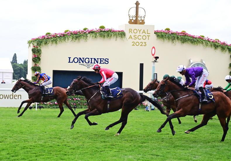 Royal Ascot winners remain in Phoenix Stakes - Vimarsana News