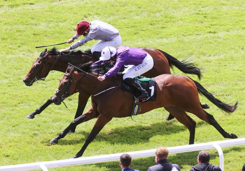 Railway Stakes rematch set for Phoenix Stakes - Vimarsana News