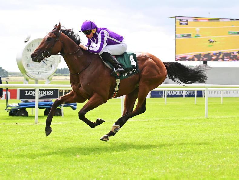 NEWS: Little Big Bear retired to Coolmore Stud - Vimarsana News
