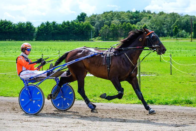 HARNESS RACING: Fortunes favour Corey double - Vimarsana News