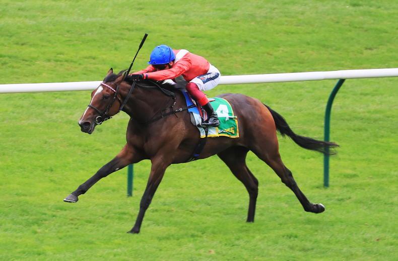 FRENCH PREVIEW: Marois a test of the generations - Vimarsana News