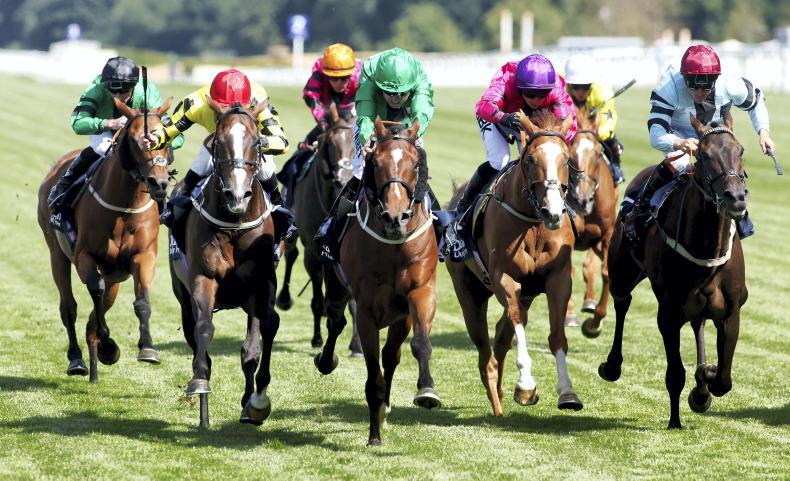 RORY DELARGY: Six value selections to play this Saturday - Vimarsana News