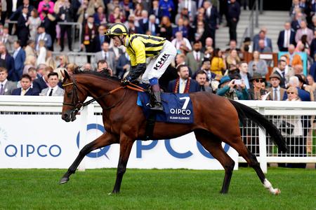 Eldar Eldarov could run in Irish St Leger - Vimarsana News
