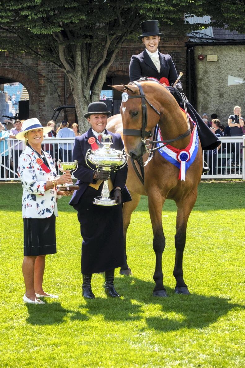 DUBLIN HORSE SHOW 2023 Master Victory Thrills Rafter 18 August 2023 Free dublin-horse-show-2023-master-victory-thrills-rafter-18-august-2023-free