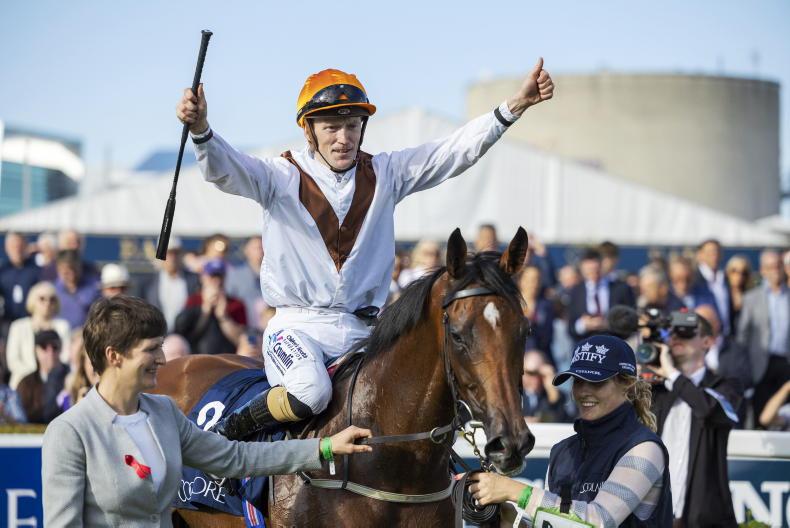 COMPETITION: Stay at the Cashel Palace, visit Coolmore, and go racing! - Vimarsana News